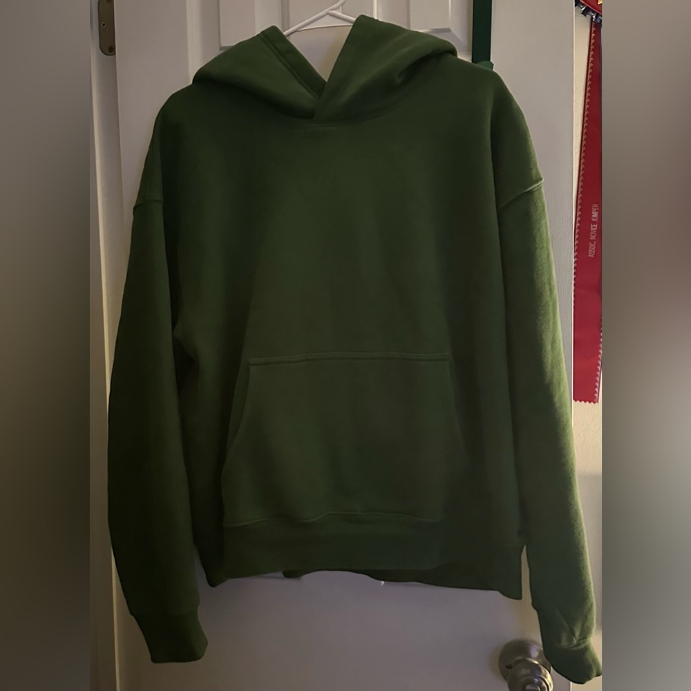 Aritzia tna hoodie